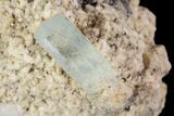 Aquamarine Crystals on Feldspar - Namibia #93690-1